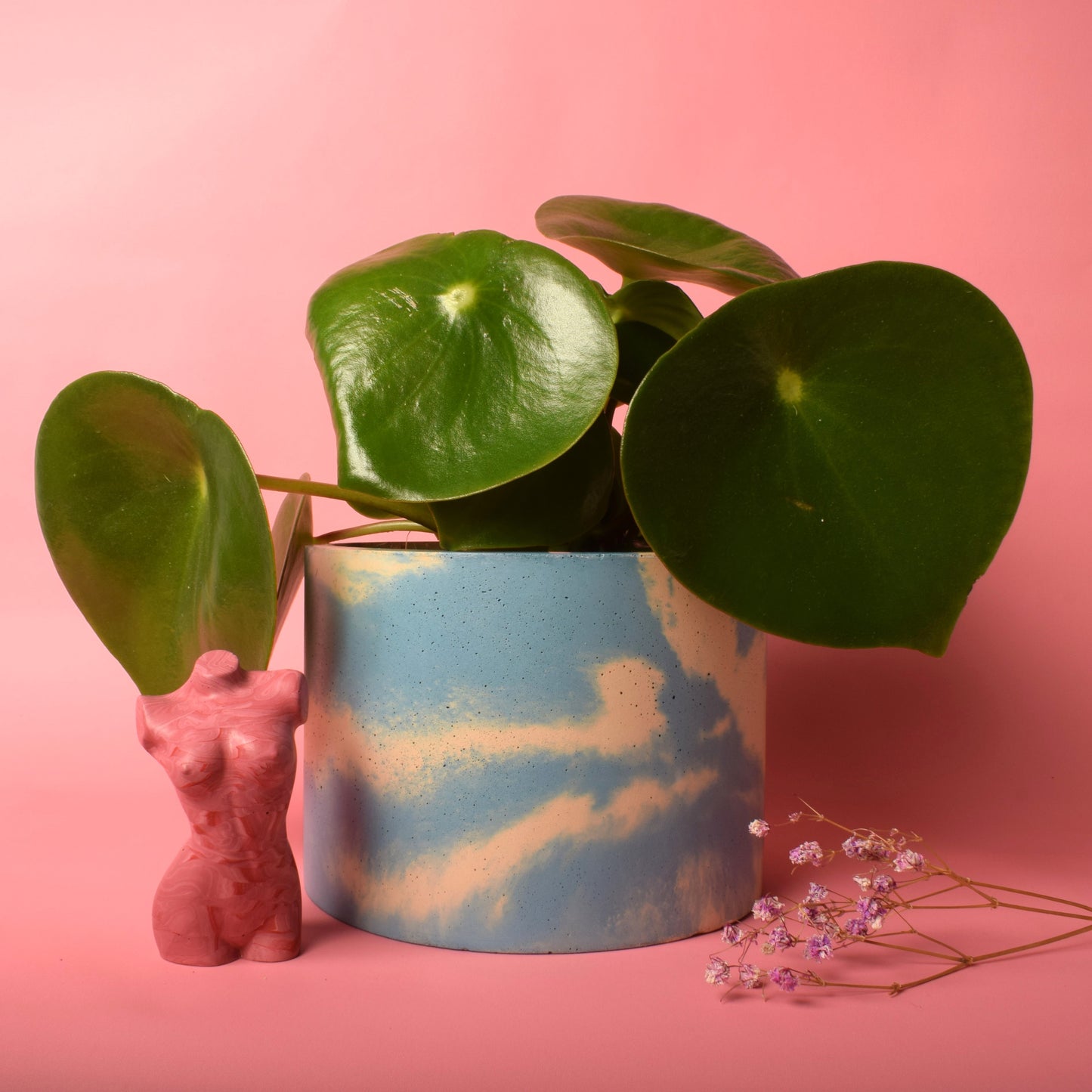 A medium-sized blue and beige houseplant pot holding a plant, with a pink female torso sculpture and dried flowers in front of it