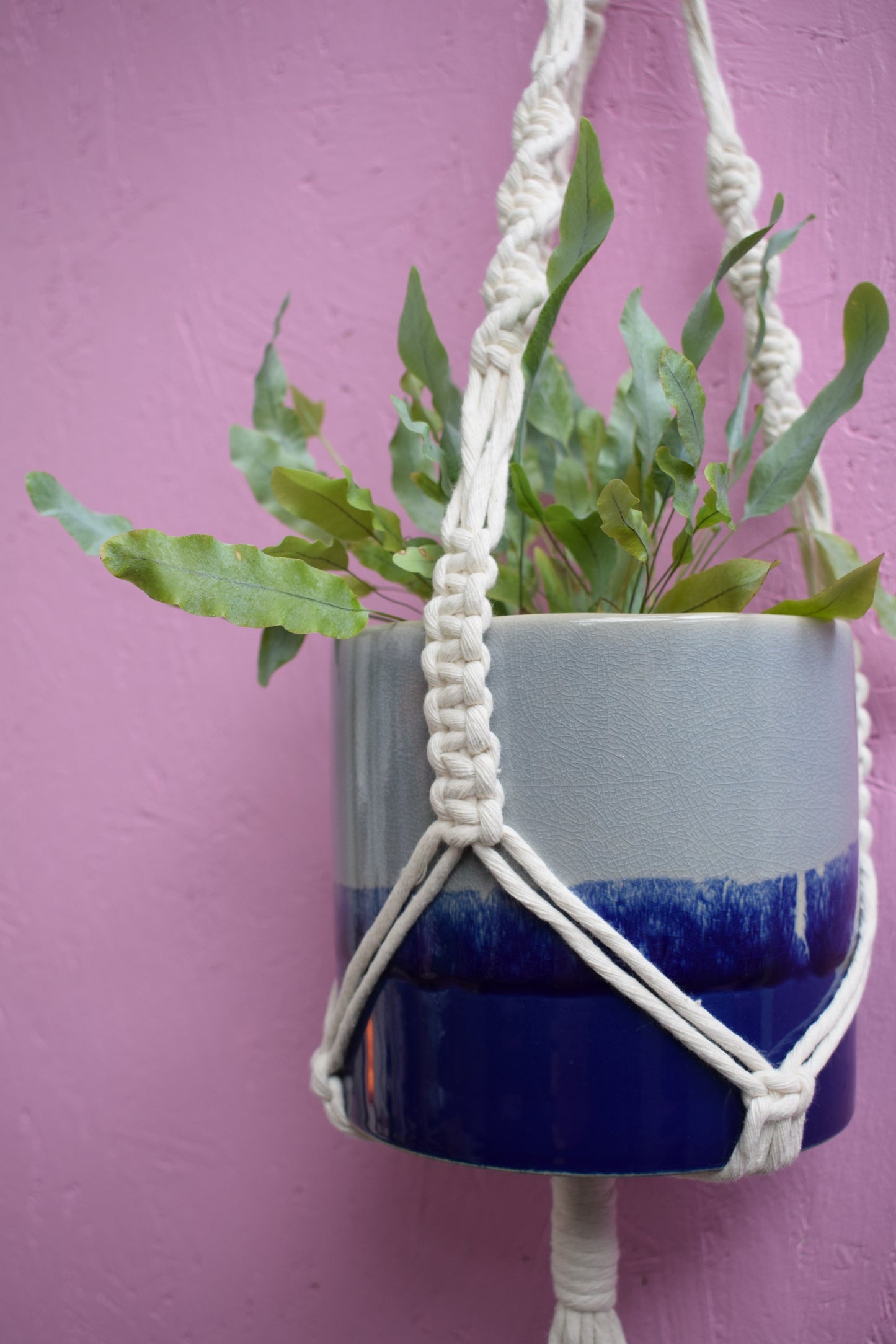 The Original Plant Hanger