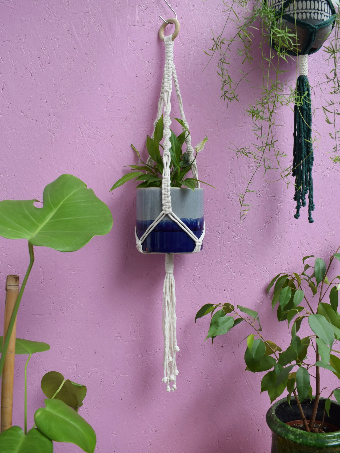 The Original Plant Hanger