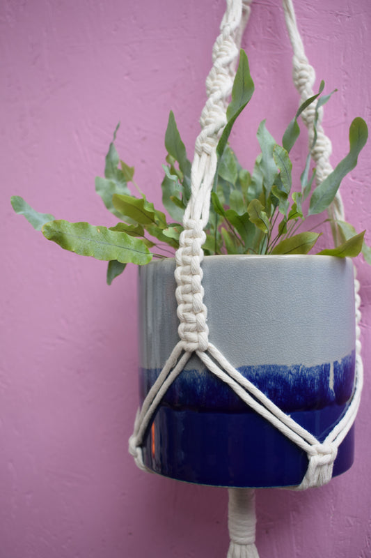 The Original Plant Hanger