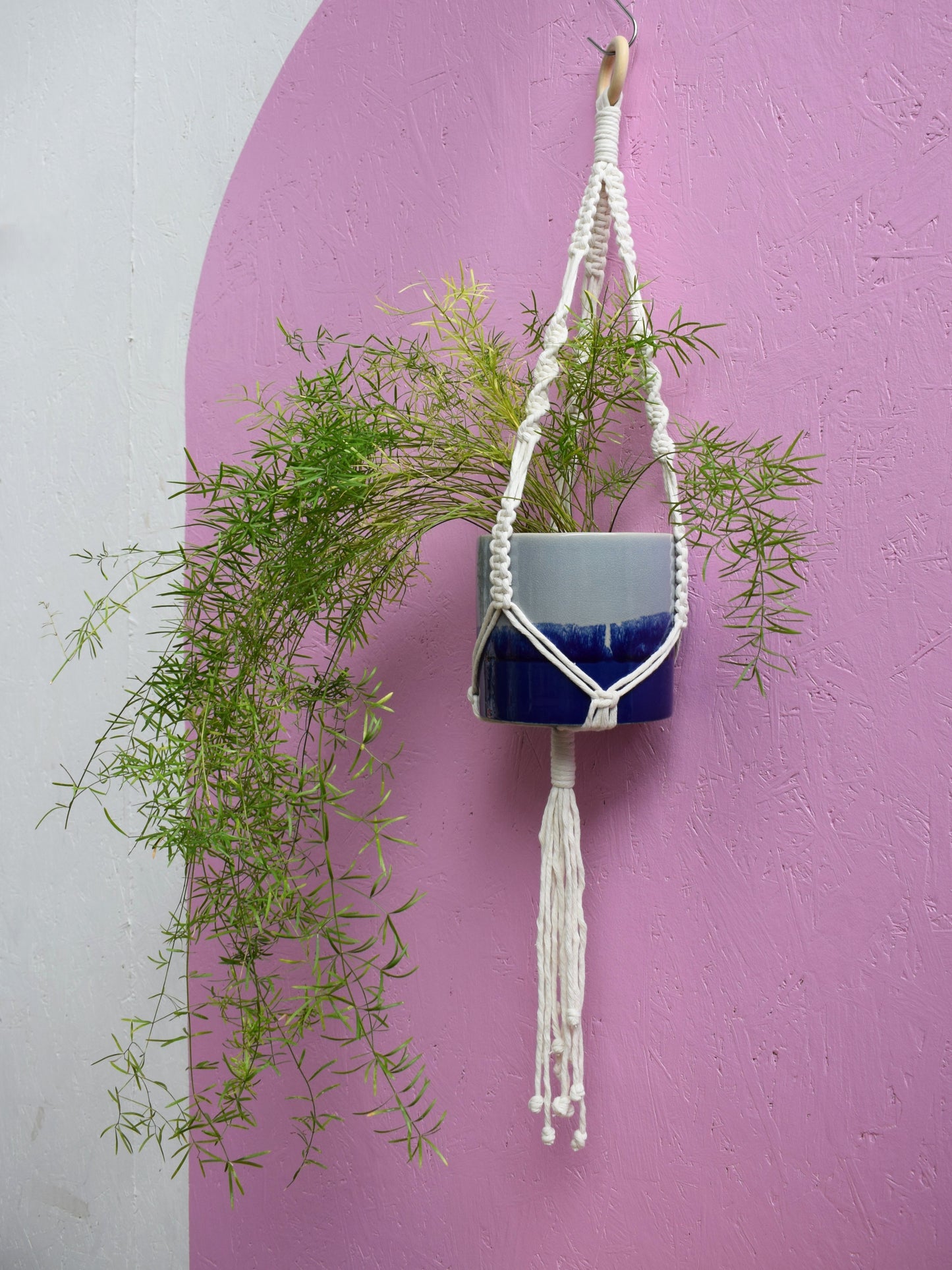 The Original Plant Hanger